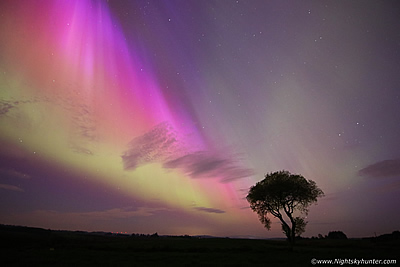 Severe G5 Geomagnetic Storm With Corona Over Fairy Tree - May 10th 2024